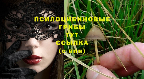 альфа пвп Кукмор