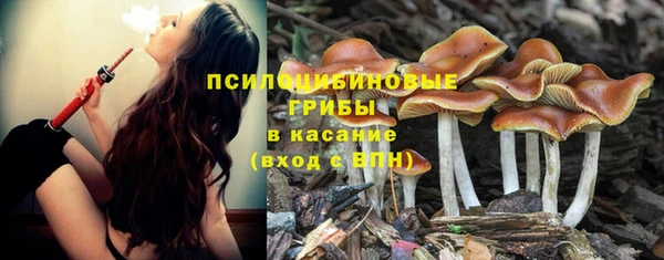 прущая мука Баксан
